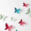 Set mariposas color